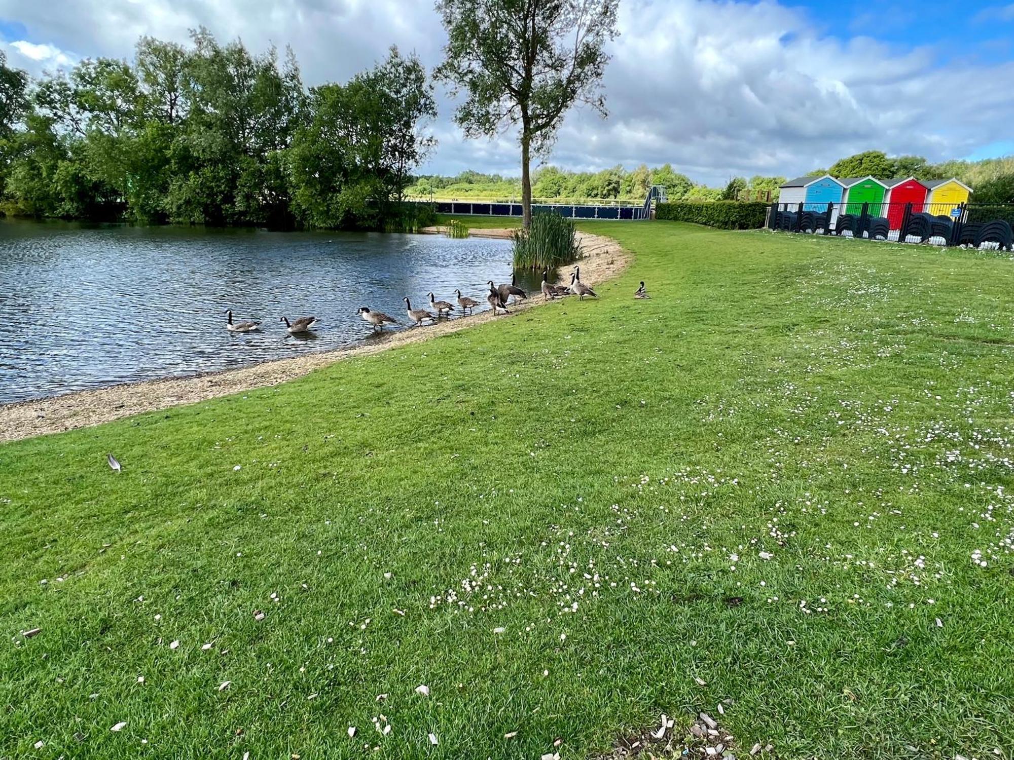 Bluebell Lodge, Dog Friendly South Cerney Exteriör bild